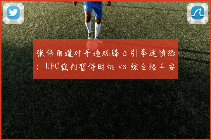 张伟丽遭对手违规膝击引拳迷愤怒:UFC裁判暂停时机 vs 综合格斗安全底线争议